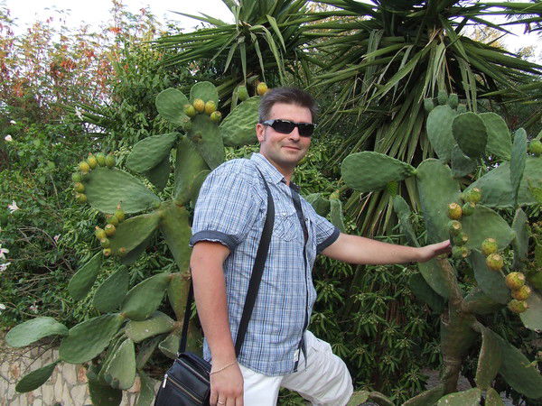 Денис Новичков