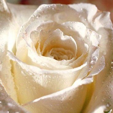 Бакытгуль Нагашыбайкызы