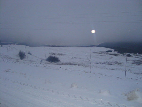 Рашад Ширинов