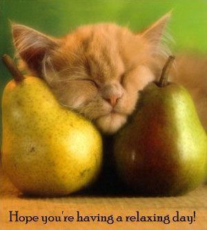 Виктор Бондарев