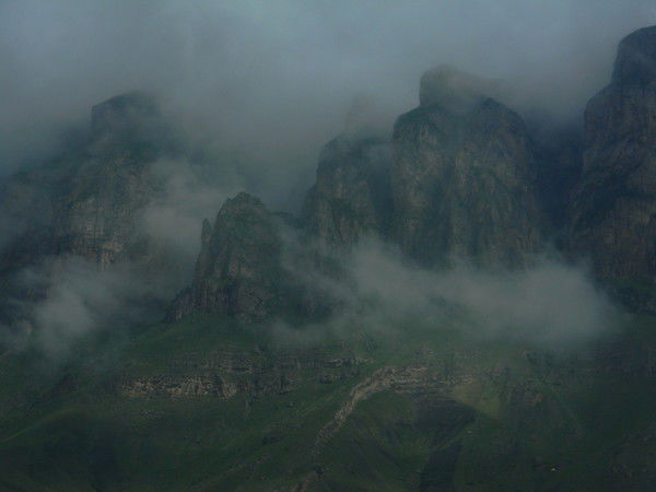 Наталья Бутенкова