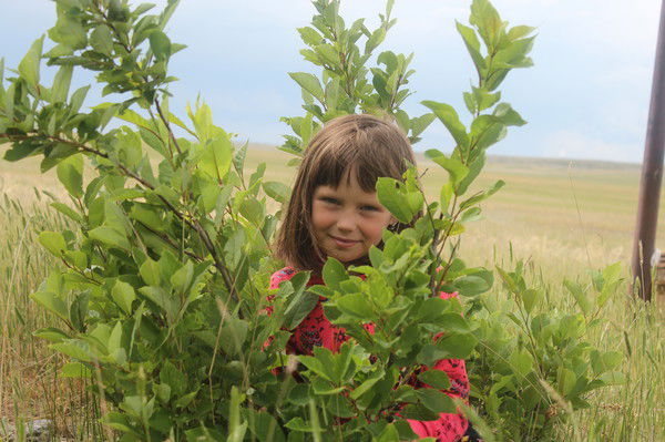 Елена Орфаниди