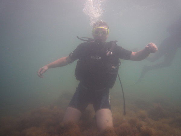 Альберт Пироев