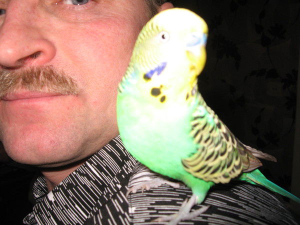 Александр Тыртышный