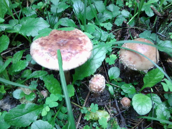 Марина Тюфанова