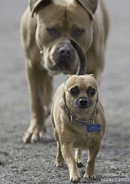 Артур Мирзоян