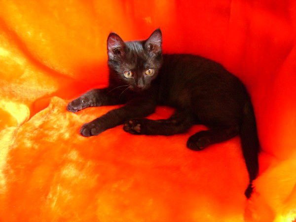 Юлия Татаурова