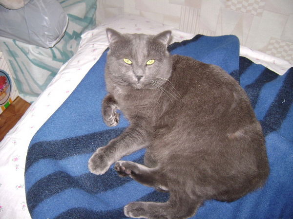 Марина Гилка