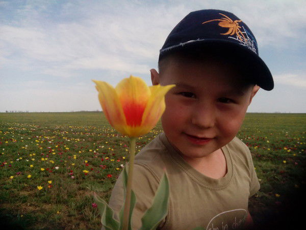 Иван Сафронов