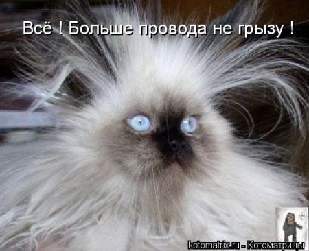 Оксана Ершова