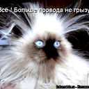 Оксана Ершова