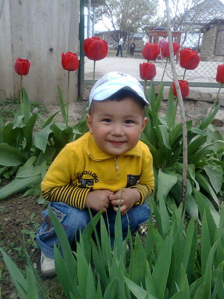 Эльмира Алтаева