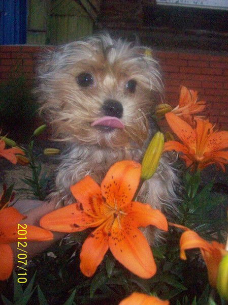 Ольга Сотникова