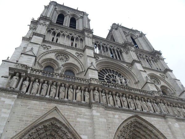 Елена Галеня(Петриченко)