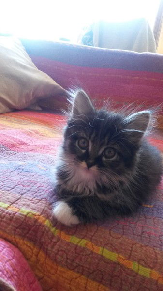 Мануйлов Дмитрий