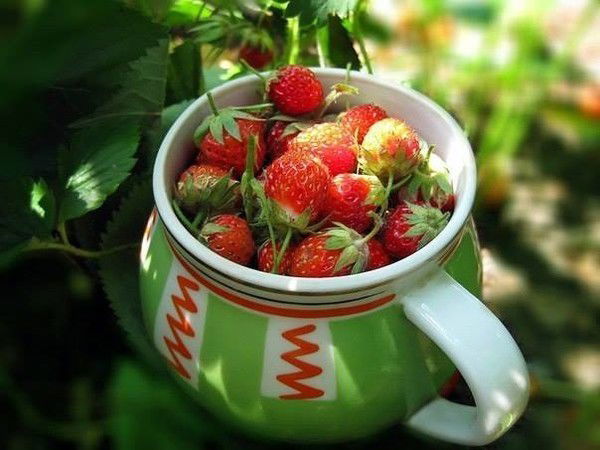 ***татьяна** *