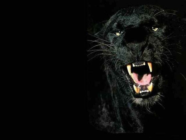 Олечка Пивоварова