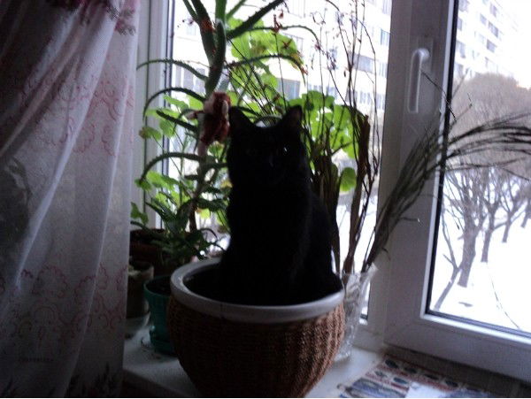 Лариса Батусова