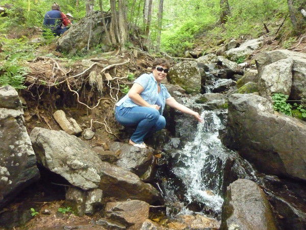 Елена Тарасова