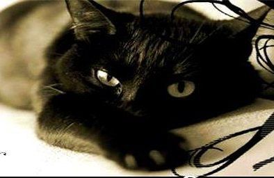 Татьяна Леоненко