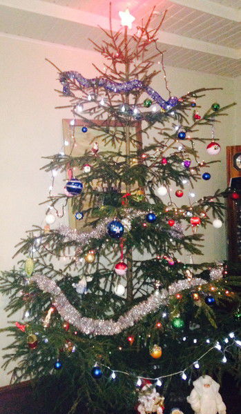 Игорь Бельков