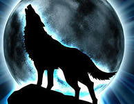 Night Wolf ***