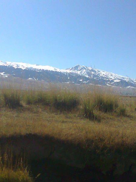 Вадим Дрововозов