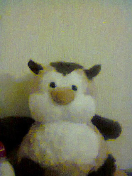 Дмитрий Ткачев