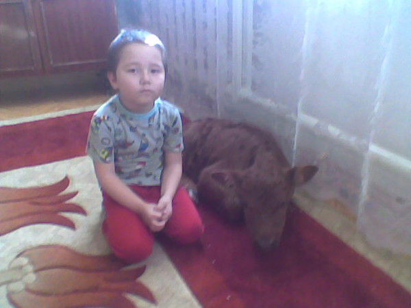 Диас Амангос