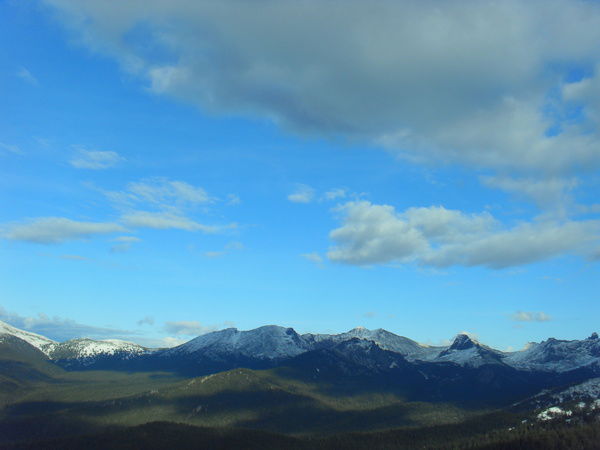 Роман Сотник