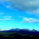 Роман Сотник