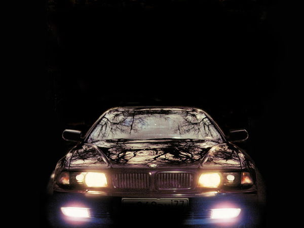 Вован Трофим