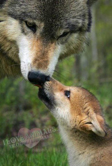 Наталья Топал