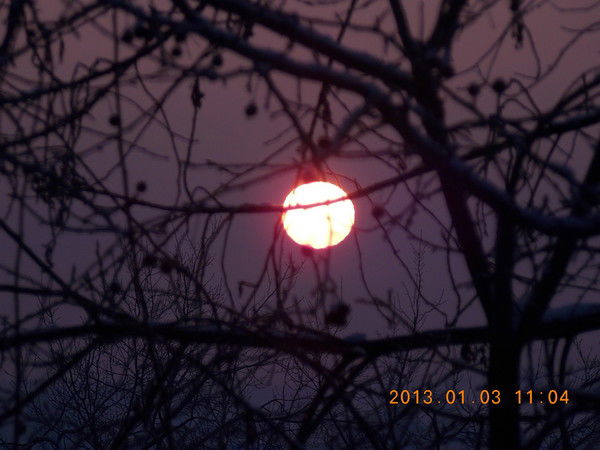 Анастасия Уткина