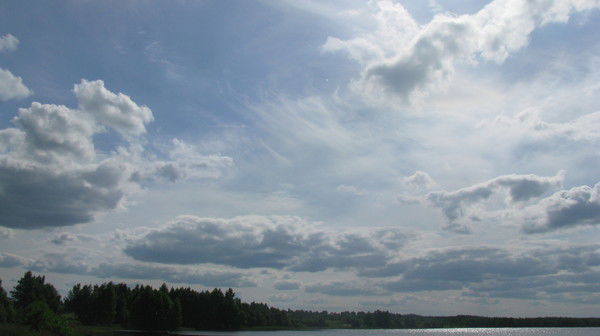 Владимир Енин