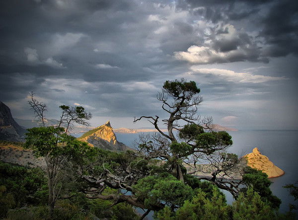 Светлана Стругова