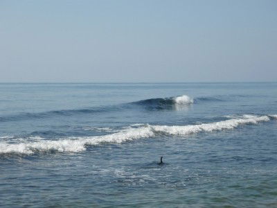 Галина Вишневская