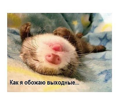 Галина Ивахненко