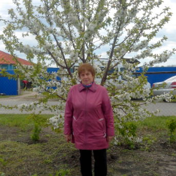 Татьяна Солодилова