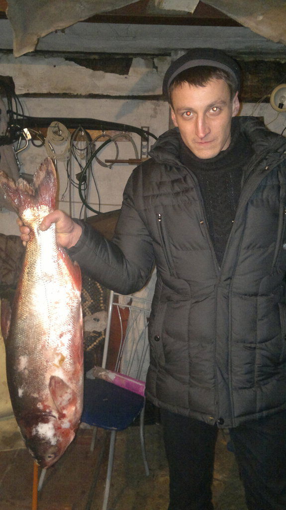 Дмитртй Мартышин