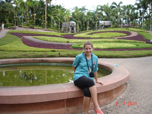 I{Aтеринi{А =D