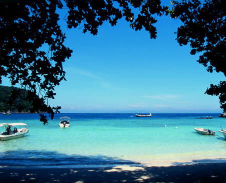 Гитарист Не По Воле