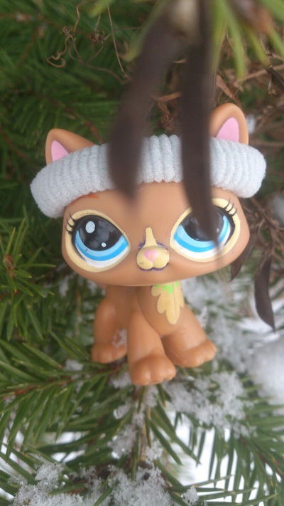 Кристина Клауд