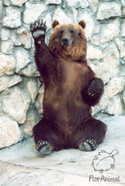 Владимир *****