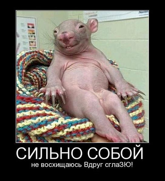 Елена Жданова