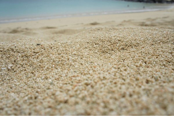 Ирина Лобачева