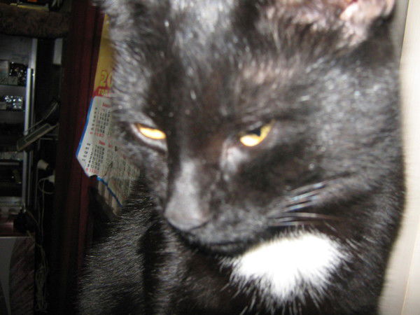 Ирина Белорус