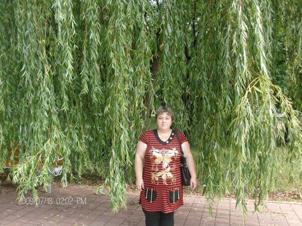 Татьяна Масюта