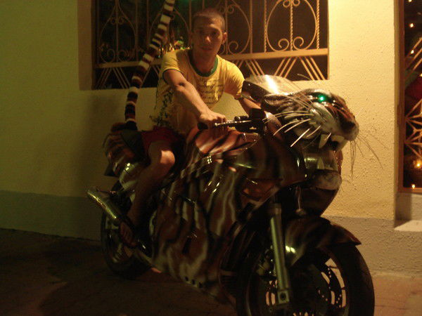 Рауль Низямов