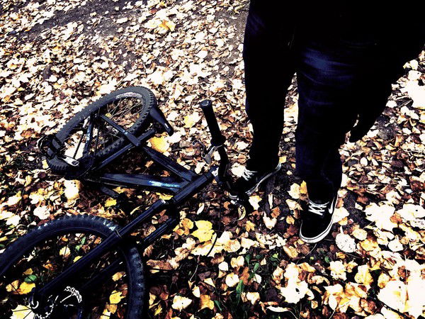 Дмитрий Журавлев